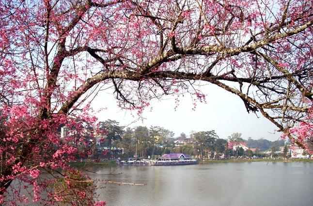 Ana Hotel Da Lat Kültér fotó